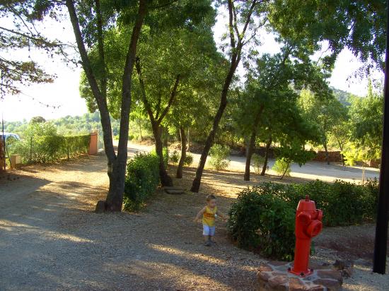 place arborée avant d'arriver au chalet